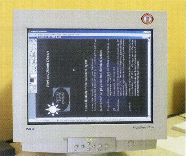  DESPACHO PANTALLA ORDENADOR (13)